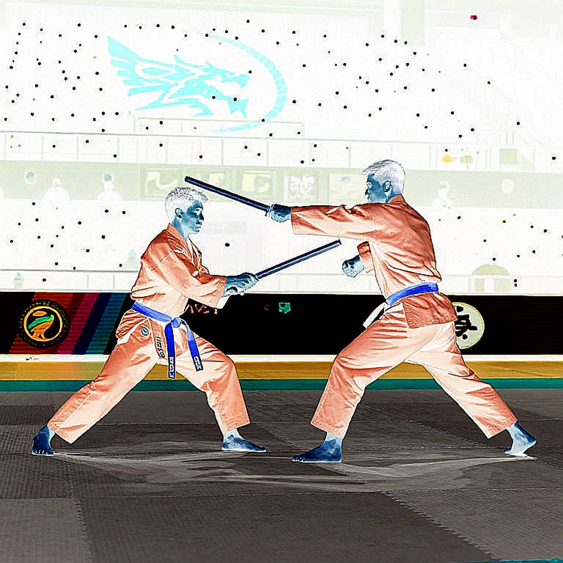 Taekwondo Việt Nam và bản đồ 'vàng tập thể' ở Chuncheon